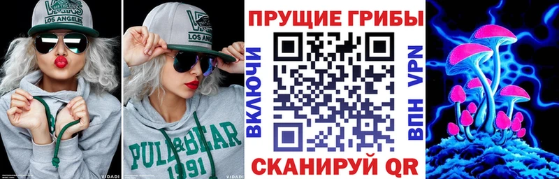 Галлюциногенные грибы мицелий даркнет сайт Советская Гавань